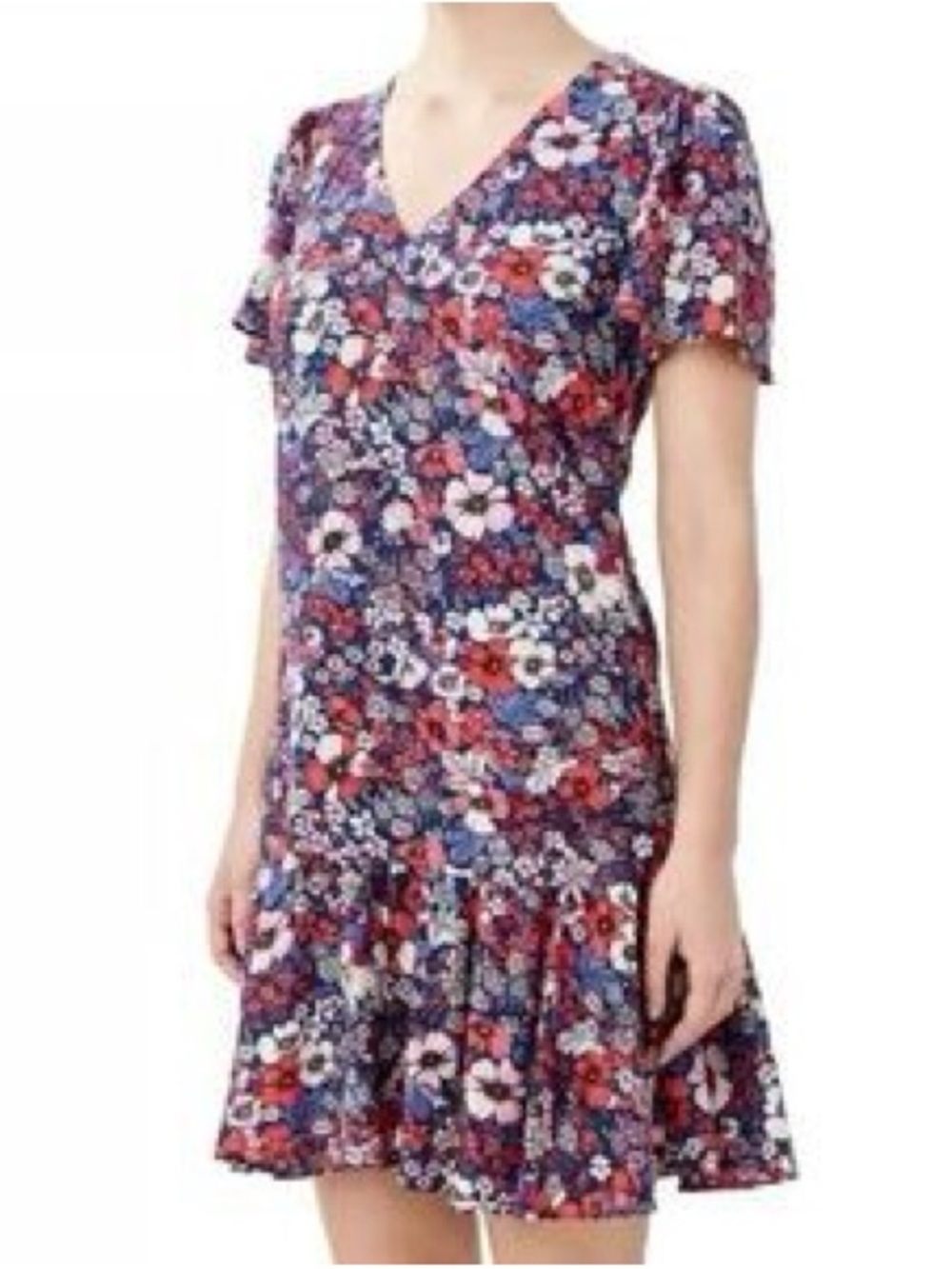 BCBG Paris Floral V-Neck Ruffle Hem Dress -‎ Purple & Red Floral